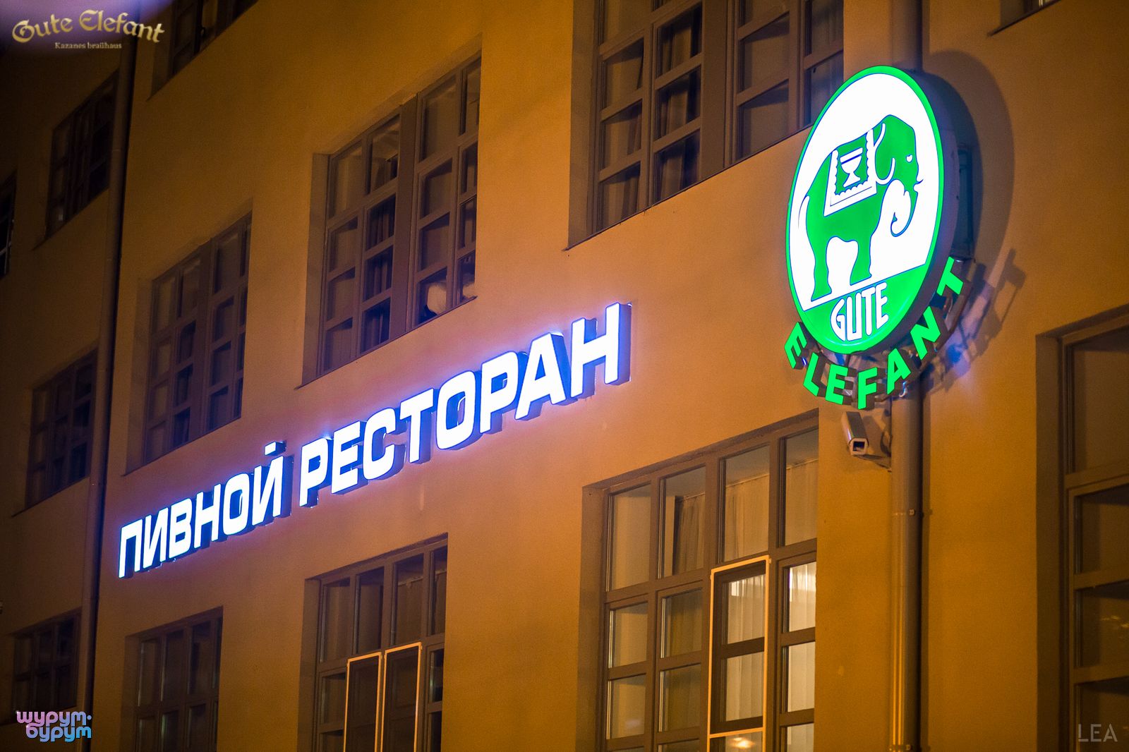 Открытие пивного ресторана Gute Elefant